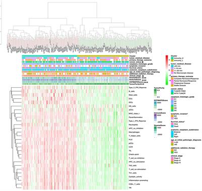 Comprehensive Analysis of Tumor Microenvironment Identified Prognostic Immune-Related Gene Signature in Ovarian Cancer